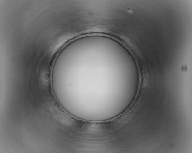 X0000111951266200907271428