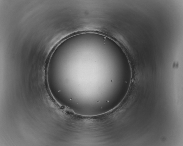 X0000111951268200907271428