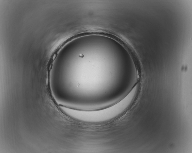 X0000111951269200907271428