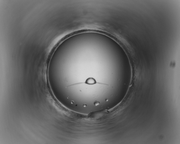 X0000111951272200907271428