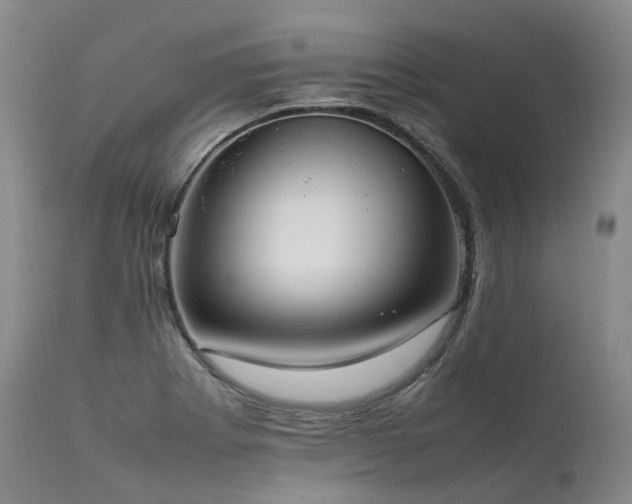 X0000111951273200907271428