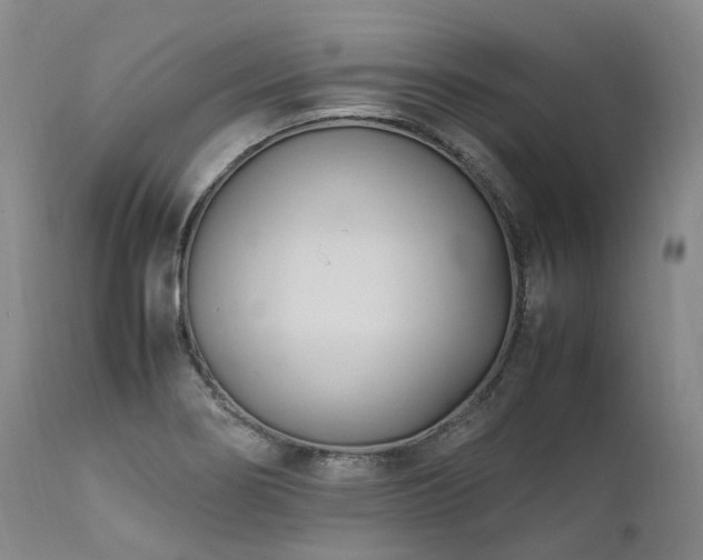 X0000111951274200907271428