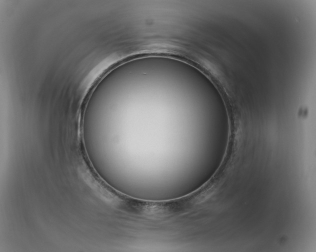 X0000111951275200907271428