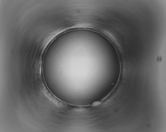X0000111951276200907271428