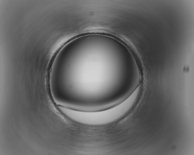 X0000111951277200907271428