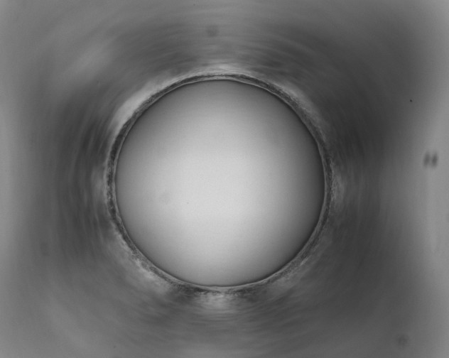 X0000111951278200907271428