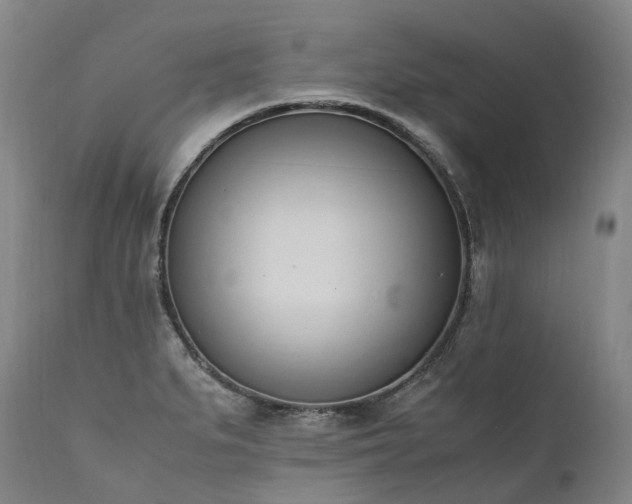 X0000111951279200907271428