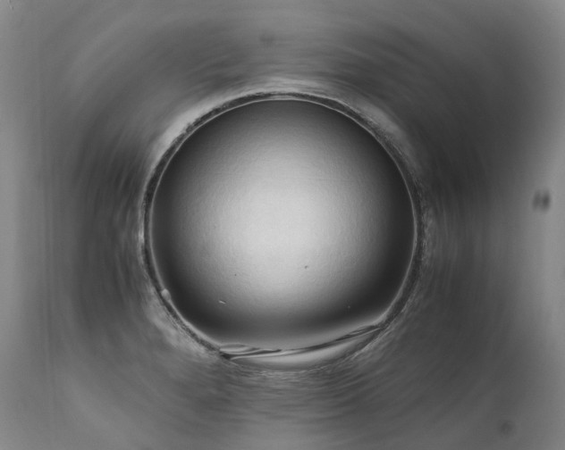 X0000111951280200907271428