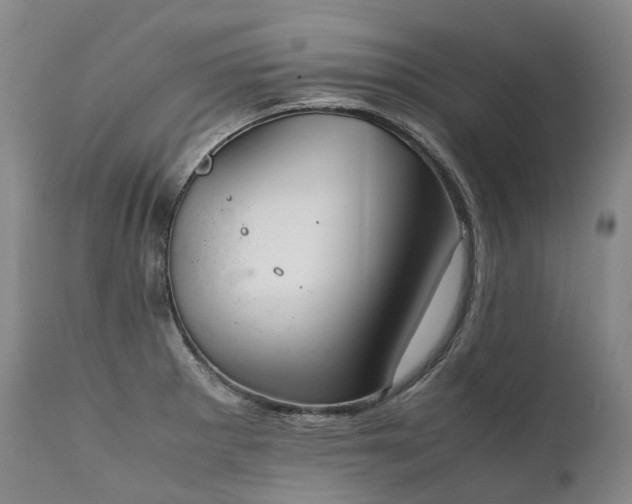 X0000111951281200907271428