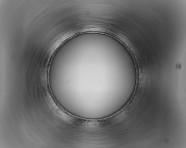 X0000111951282200907271428