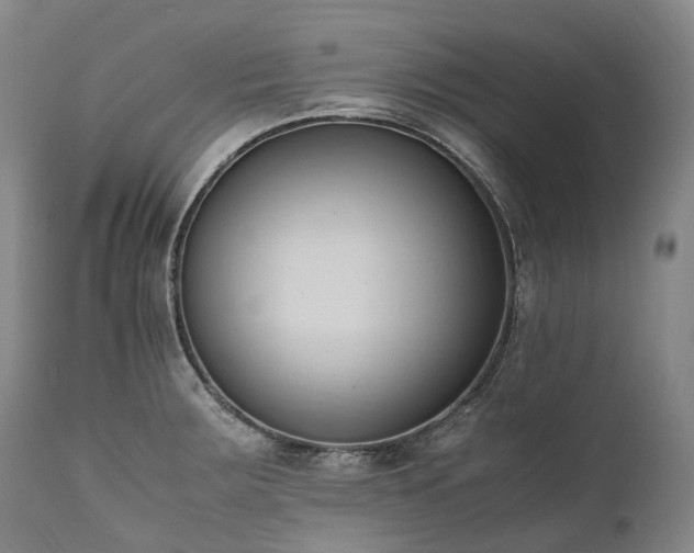 X0000111951283200907271428