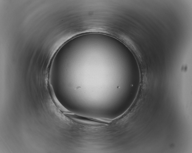 X0000111951284200907271428