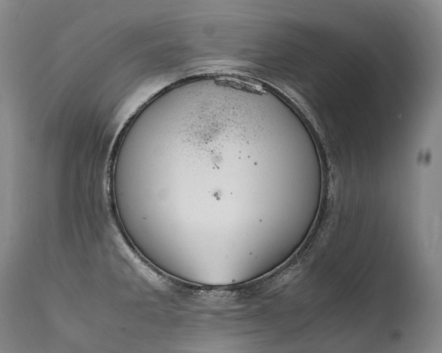X0000111951285200907271428