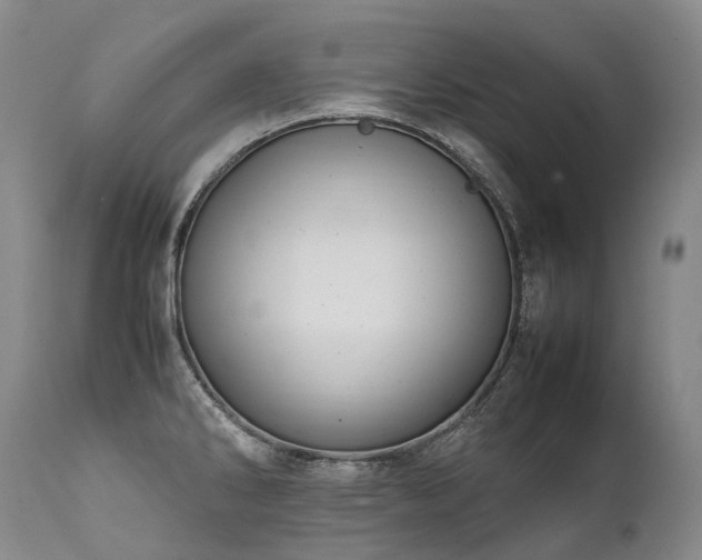 X0000111951286200907271428