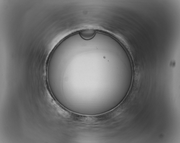 X0000111951287200907271428