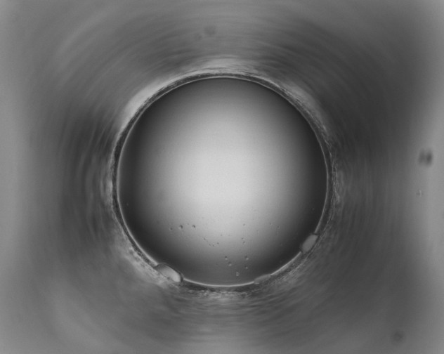 X0000111951288200907271428