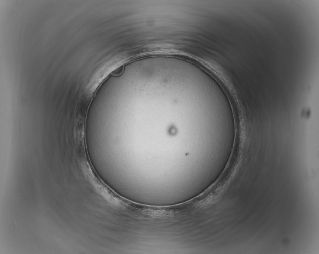 X0000111951289200907271428