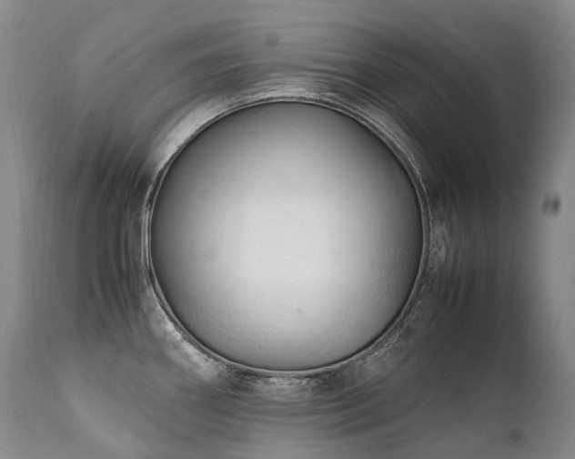 X0000111951290200907271428