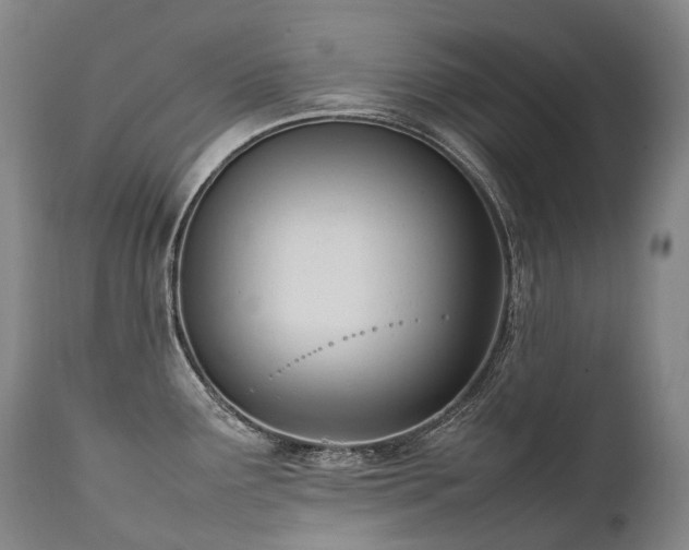 X0000111951291200907271428