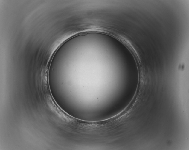 X0000111951292200907271428