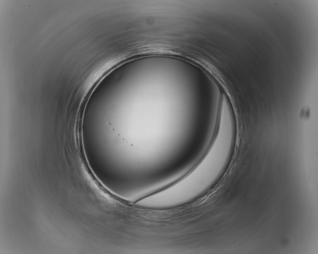 X0000111951293200907271428