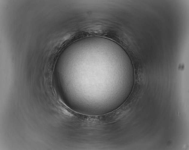 X0000111951297200907271427