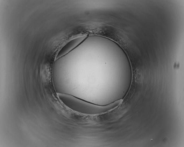 X0000111951298200907271427