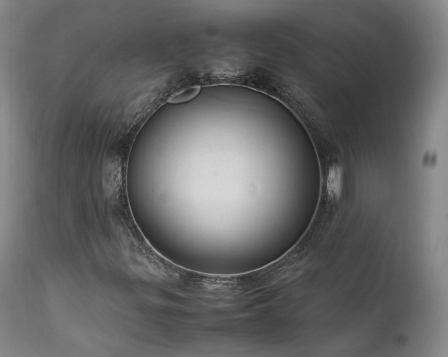 X0000111951299200907271427