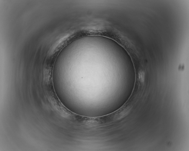 X0000111951300200907271427