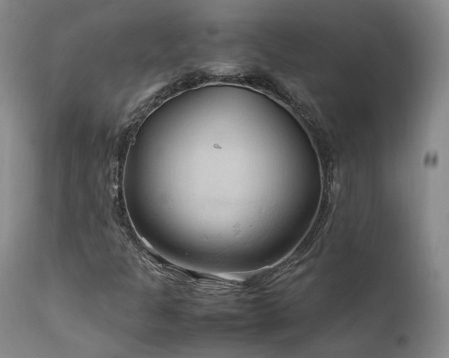 X0000111951301200907271427