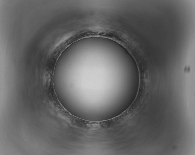 X0000111951302200907271427
