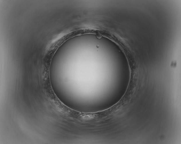 X0000111951303200907271427
