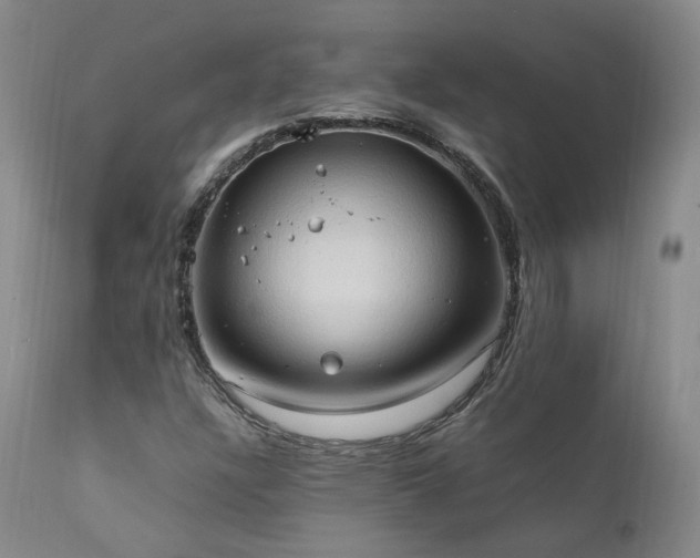 X0000111951304200907271427