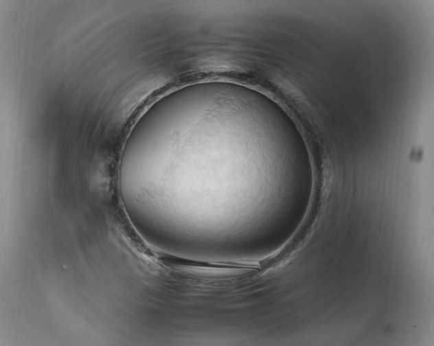 X0000111951305200907271427
