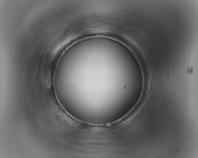 X0000111951306200907271427
