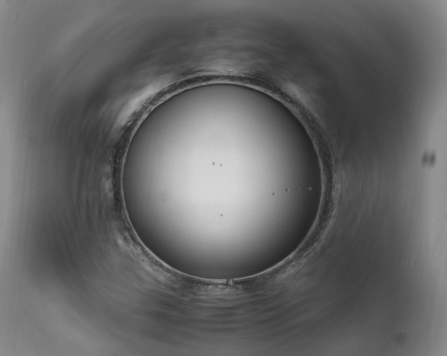 X0000111951307200907271427