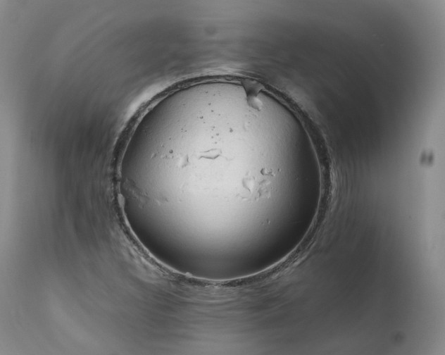 X0000111951308200907271427