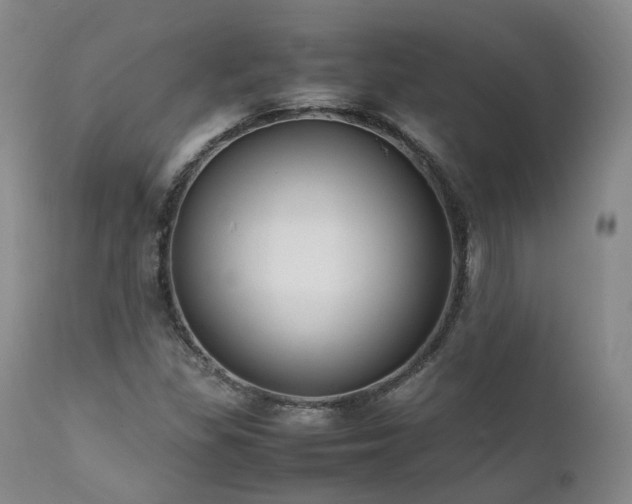 X0000111951309200907271427