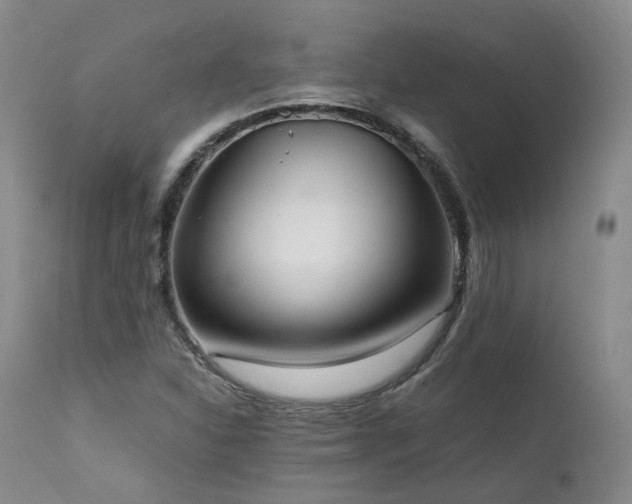 X0000111951310200907271427