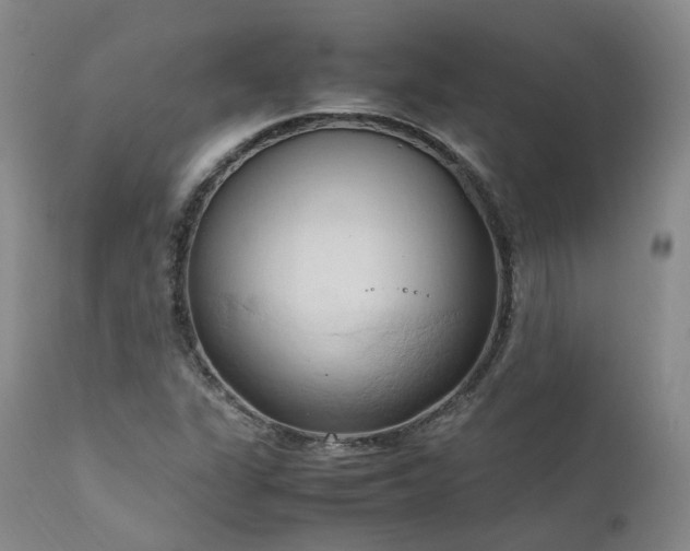 X0000111951311200907271427