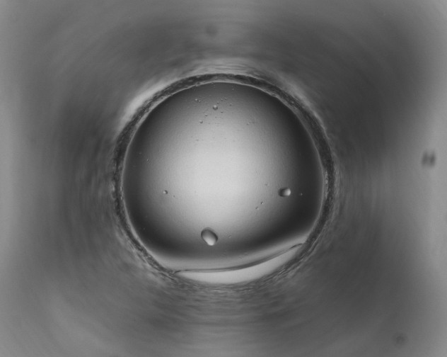 X0000111951312200907271427