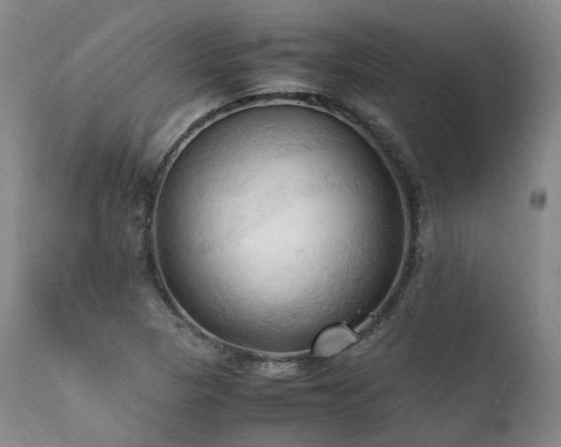 X0000111951313200907271427