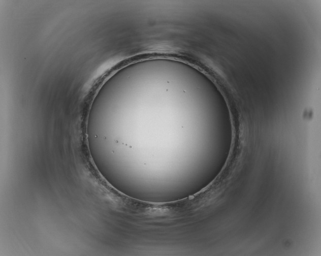 X0000111951315200907271427