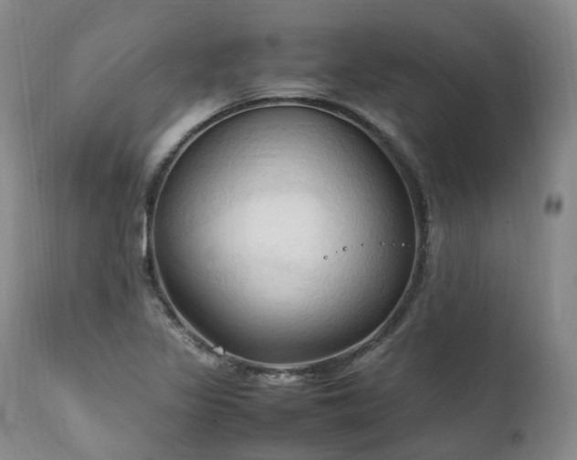 X0000111951317200907271427