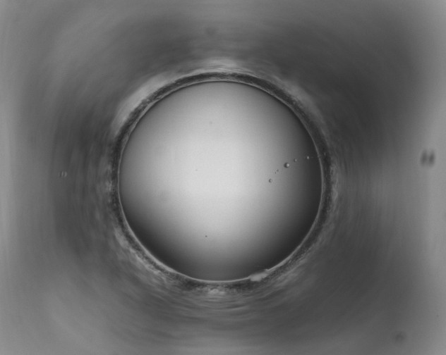 X0000111951318200907271427