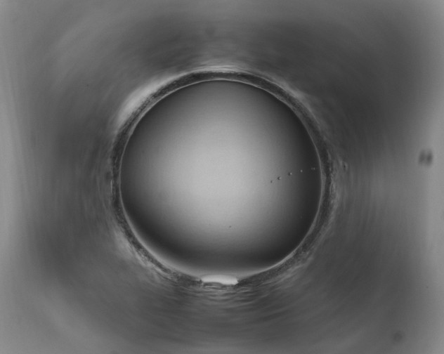 X0000111951319200907271427