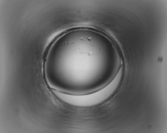 X0000111951320200907271427