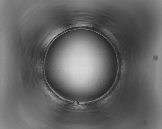 X0000111951321200907271427