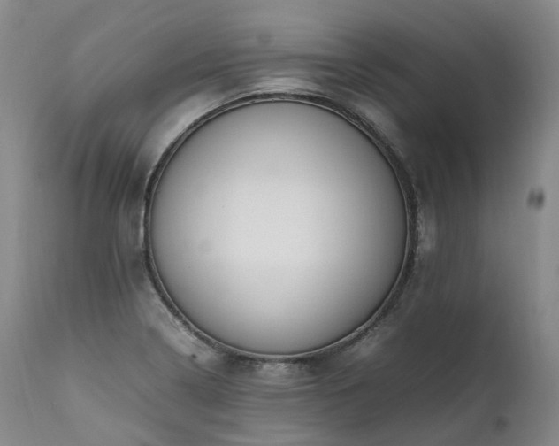X0000111951322200907271427