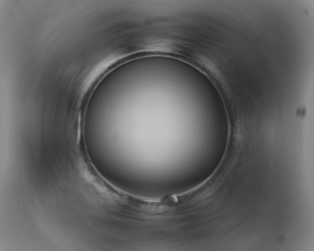 X0000111951323200907271427